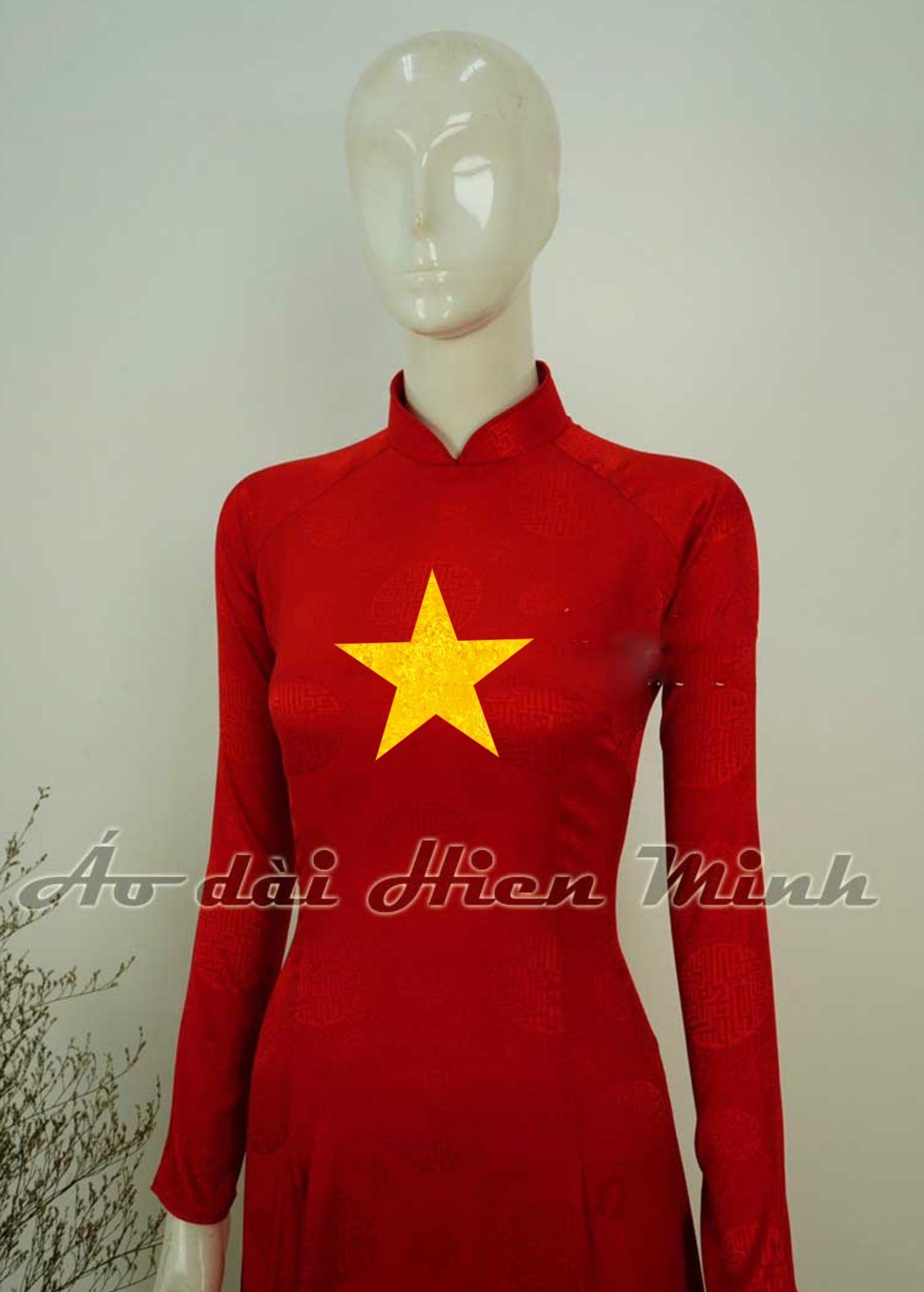 ao dai Viet Nam